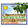 From Seed to Plant - Paperback