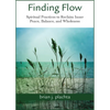 Finding Flow: Spiritual Practices to Reclaim Inner Peace, Balance, and Wholeness - Paperback