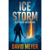 Ice Storm - Paperback