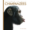 Chimpanzees - Paperback
