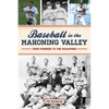 Baseball in the Mahoning Valley: From Pioneers to the Scrappers - Paperback