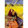 ¿Que Me Quieres, Amor? / Honey, What Do You Want from Me - Paperback