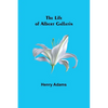 The Life of Albert Gallatin - Paperback