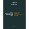 Elementary ALGEBRA: How to Develop Your Word Problem Solving Skills - Paperback
