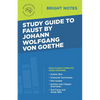 Study Guide to Faust by Johann Wolfgang von Goethe - Paperback