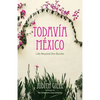 Todavía México: Life Beyond the Border - Paperback