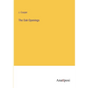 The Oak-Openings - Paperback