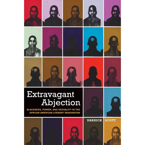 Extravagant Abjection: Blackness, Power, and Sexuality in the African American Literary Imagination - Paperback