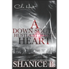 A Down South Hustla Stole My Heart: An African American Women's Fiction Book - Paperback