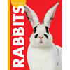 Curious about Rabbits - Paperback
