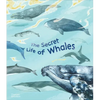 The Secret Life of Whales - Hardcover