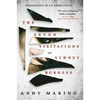 The Seven Visitations of Sydney Burgess - Paperback