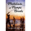 Meltdown at Nempa Brooks - Paperback