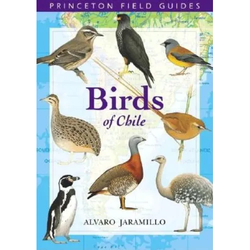 Birds of Chile - Paperback