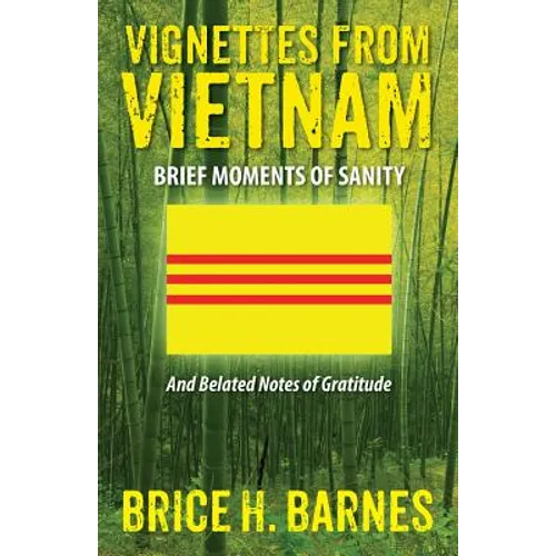 Vignettes from Vietnam: Brief Moments of Sanity - And Belated Notes of Gratitude - Paperback