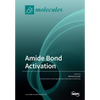 Amide Bond Activation - Paperback