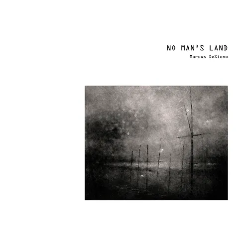 No Man's Land: Views from a Surveillance State - Hardcover