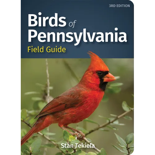 Birds of Pennsylvania Field Guide - Paperback