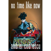 No Time Like Now: Poems - Paperback