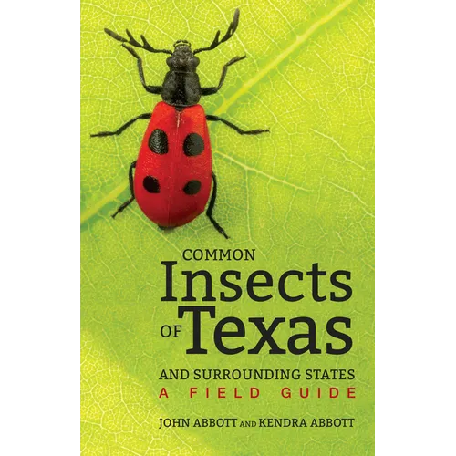 Common Insects of Texas and Surrounding States: A Field Guide - Paperback