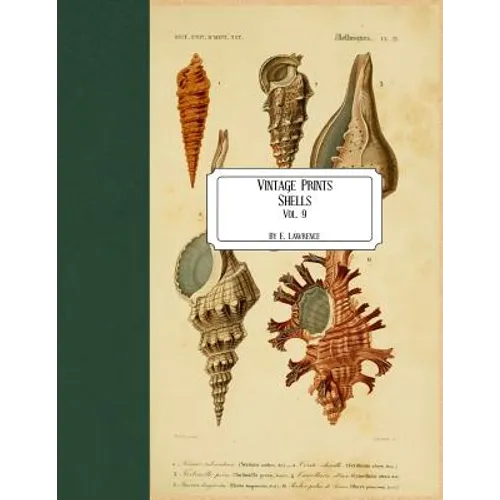 Vintage Prints: Shells: Vol. 9 - Paperback