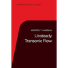 Unsteady Transonic Flow - Paperback
