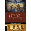 Vida En La Trinidad: Una Introducción a la Teología Con La Ayuda de Los Padres de la Iglesia - Paperback