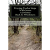Praying Twelve Steps With Jesus: A Journey Back to Wholeness: A Retreat Workbook Blending Ignatian Contemplative Prayer and the Twelve Steps - Paperback