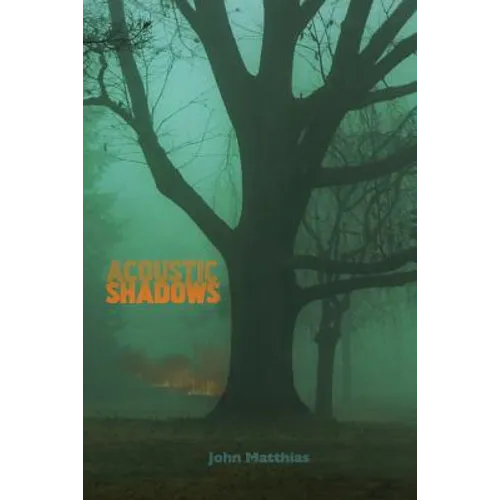 Acoustic Shadows - Paperback