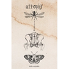 atrophy - Paperback