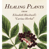Healing Plants: From Elizabeth Blackwell's a Curious Herbal - Hardcover
