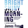 Bright Shiny Morning - Paperback