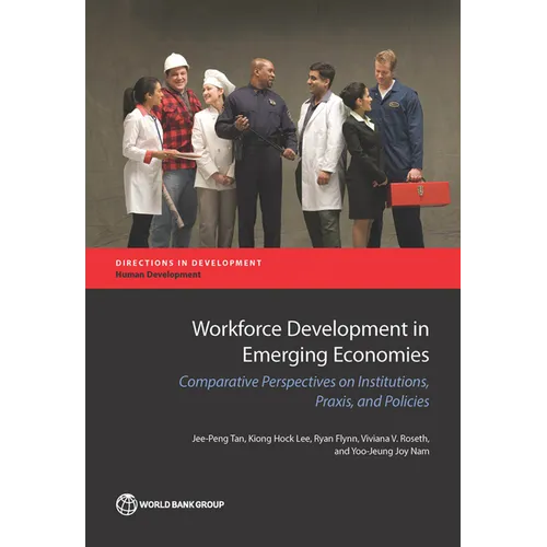 Workforce Development in Emerging Economies: Comparative Perspectives on Institutions, Praxis, and Policies for Economic Development - Paperback