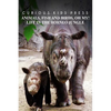 Animals, Fish and Birds, Oh My! Life In The Borneo Jungle - Curious Kids Press: Kids book about animals and wildlife, Children's books 4-6 - Paperback