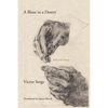 Blaze in a Desert: Selected Poems - Paperback