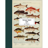Vintage Prints: Fish: Vol. 1 - Paperback