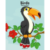 Birds Coloring Book 4 - Paperback