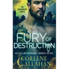 Fury of Destruction: Dragonfury Book 7 - Paperback