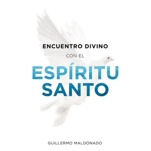 Encuentro Divino Con El Espíritu Santo - Paperback
