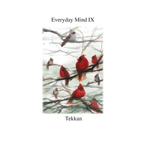 Everyday Mind IX - Paperback