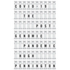 Covid-19: The Postgenomic Pandemic - Paperback