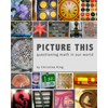 Picture This: Questioning Math in Our World - Paperback