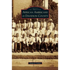 African Americans of Davidson County - Hardcover