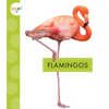 Flamingos - Paperback