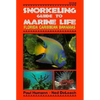 Snorkeling Guide to Marine Life Florida, Caribbean, Bahamas - Paperback