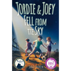 Jordie and Joey Fell from the Sky - Paperback