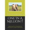 One In A Million !!: A Rare Glance at the Exciting & Crazy Life of a Horse Veterinarian!! - Paperback