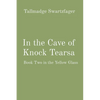 In the Cave of Knock Tearsa: Book Two in the Yellow Glass - Paperback