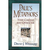 Paul's Metaphors: Their Context and Character - Paperback