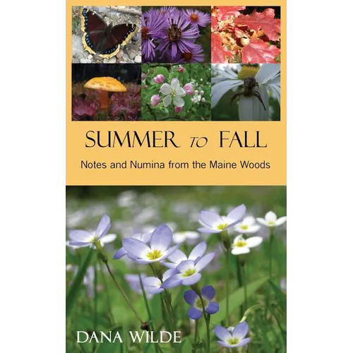 Summer to Fall - Paperback